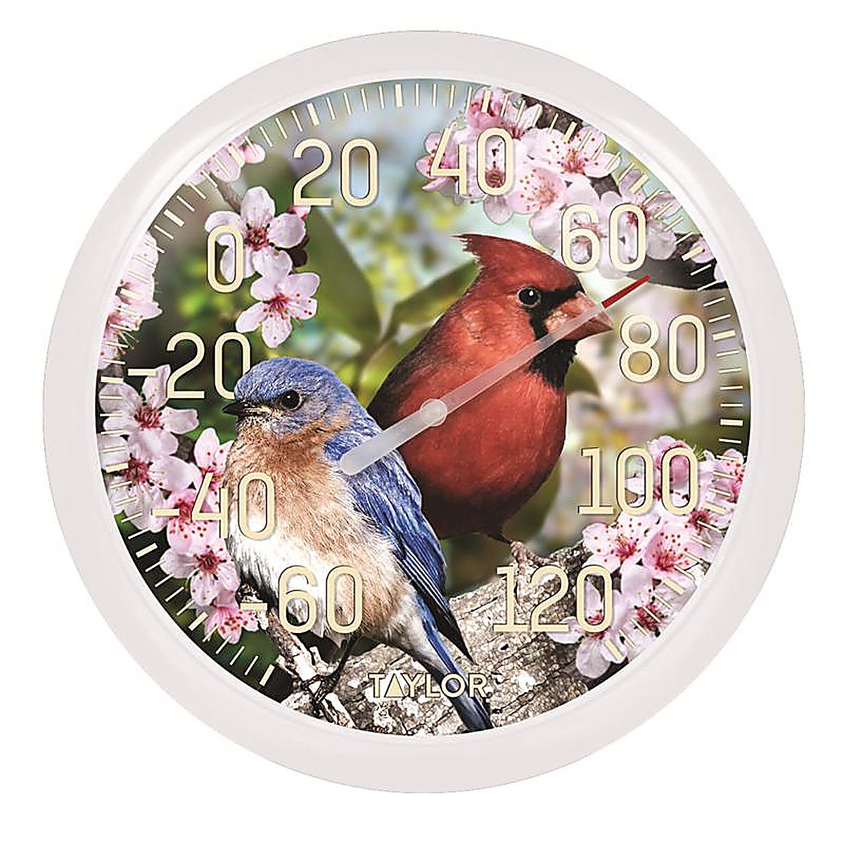 Taylor 6733 Cardinal/Bunting Dial Thermometer Plastic Multicolored