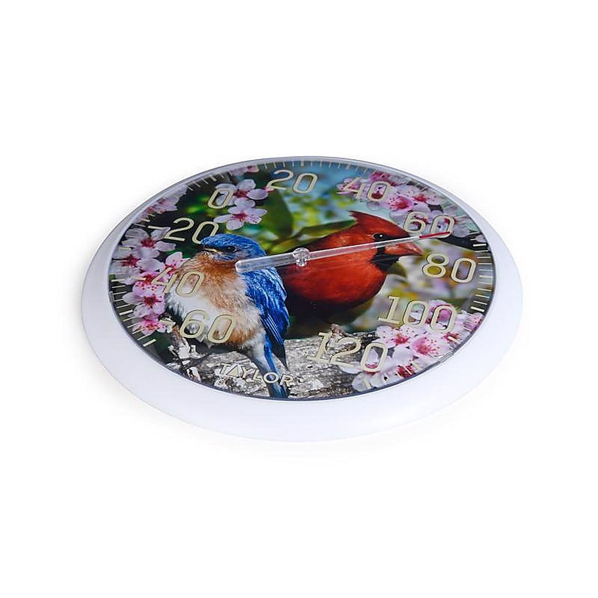 Taylor 6733 Cardinal/Bunting Dial Thermometer Plastic Multicolored