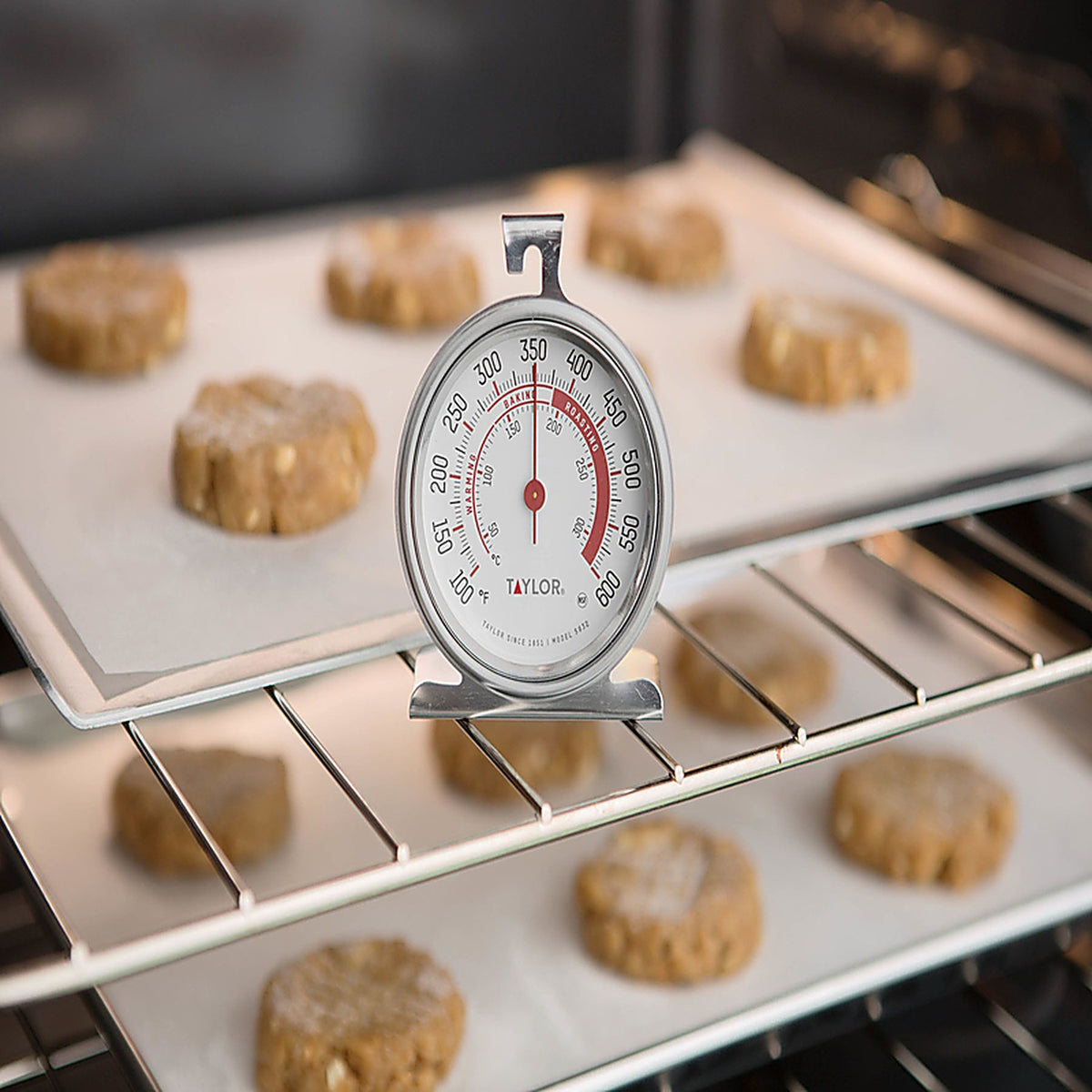 Taylor 5932 Instant Read Analog Oven Thermometer