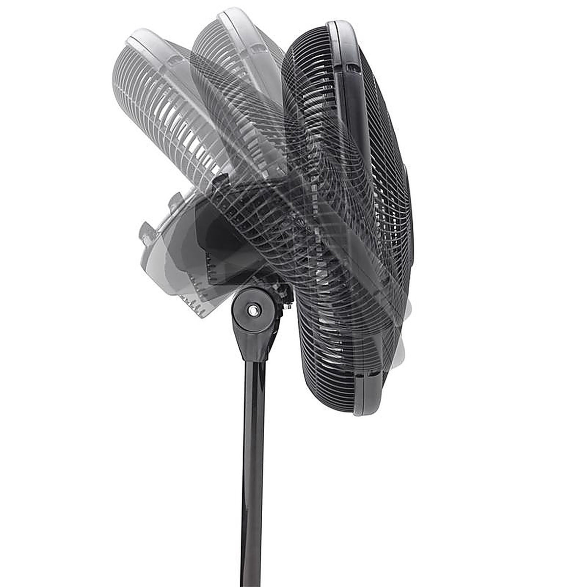 Lasko 2521 48 in. H x 16 in. Dia. 3 speed Oscillating Pedestal Fan