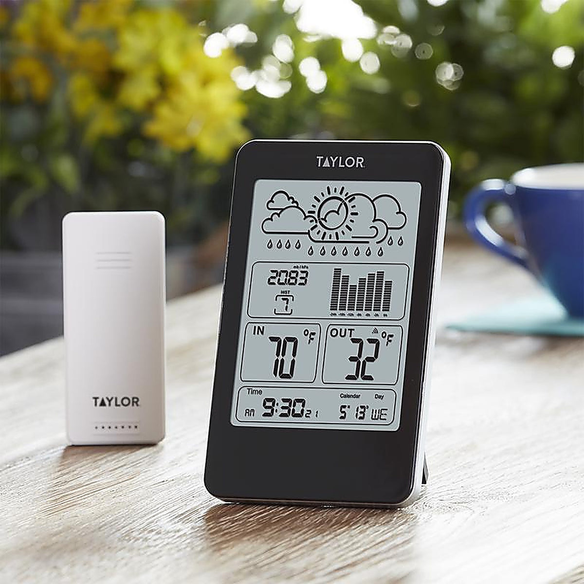 Taylor 1733 Weather Station
