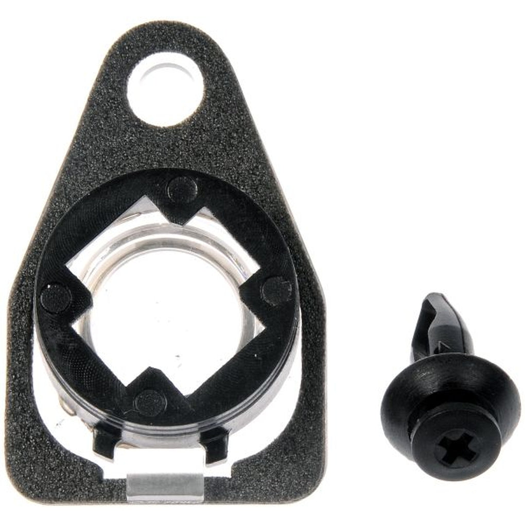 Dorman 68174 License Plate Lens
