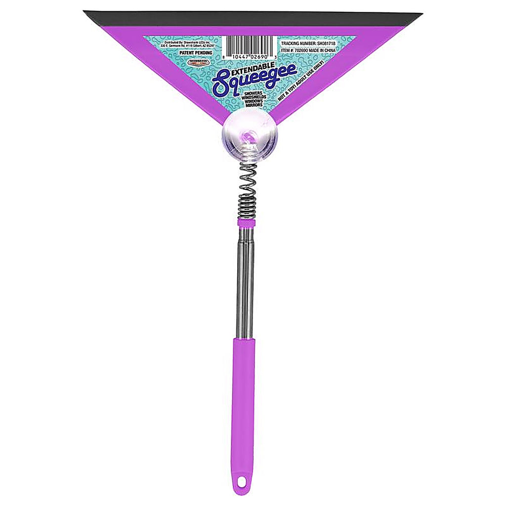 Shawshank LEDz 702690 Blazing LEDz 10 in. Squeegee
