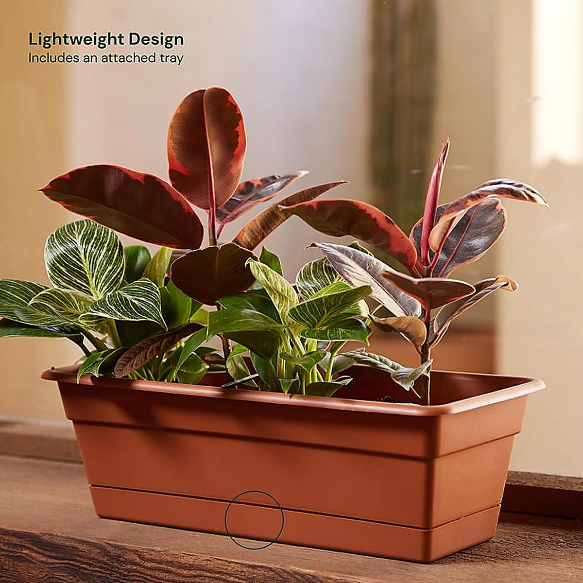 Bloem DCBT18-46 5.75 in. H x 18 in. W x 7.5 in. D Plastic Window Box Terracotta