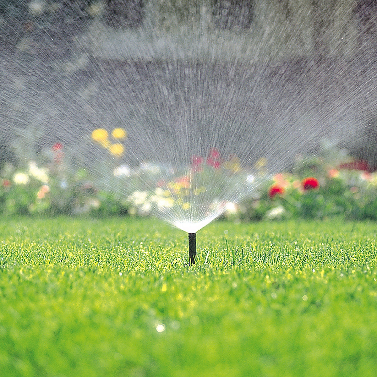 Toro 54817 570 Series 3 in. H Full-Circle Pop-Up Sprinkler