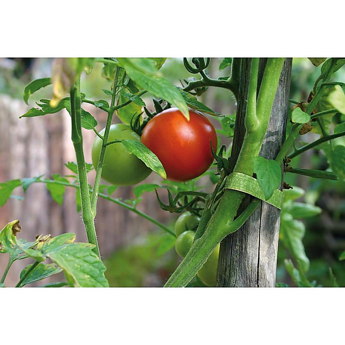 Velcro VEL30071ACS-AMS Velcro One Wrap Garden Ties 1/Pack
