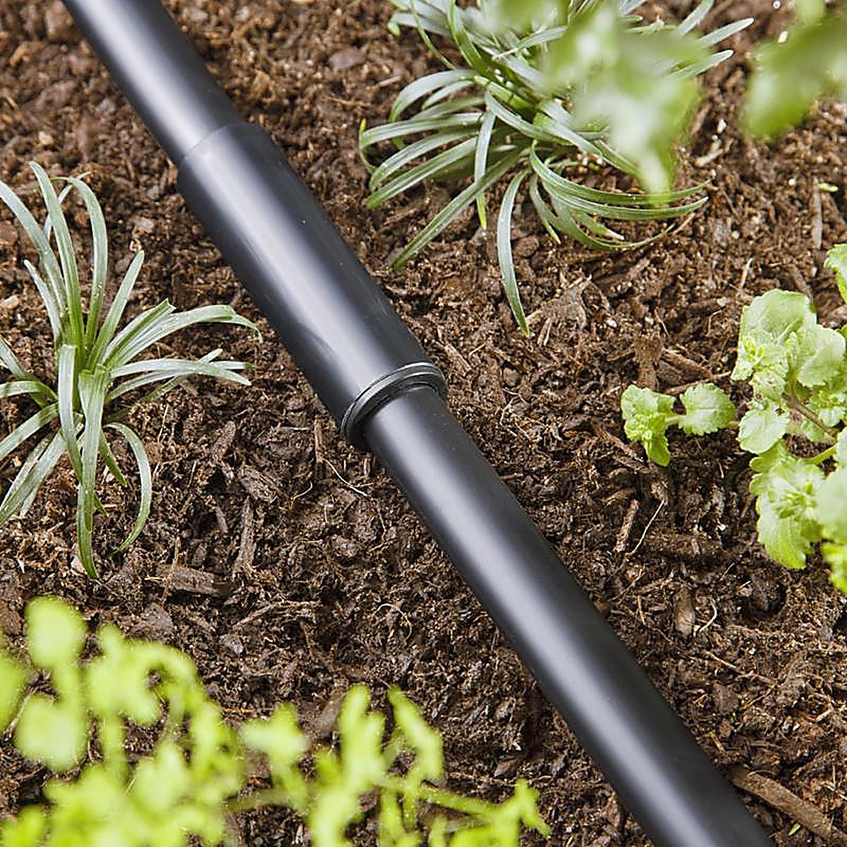 Raindrip 345G00UB Compression 5/8 in. Drip Irrigation Coupler 1/Pack