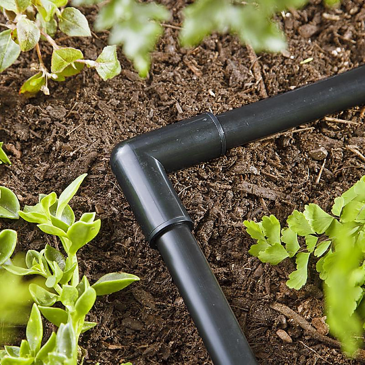 Raindrip 368G00UB Compression 5/8 in. Drip Irrigation Elbow 1/Pack