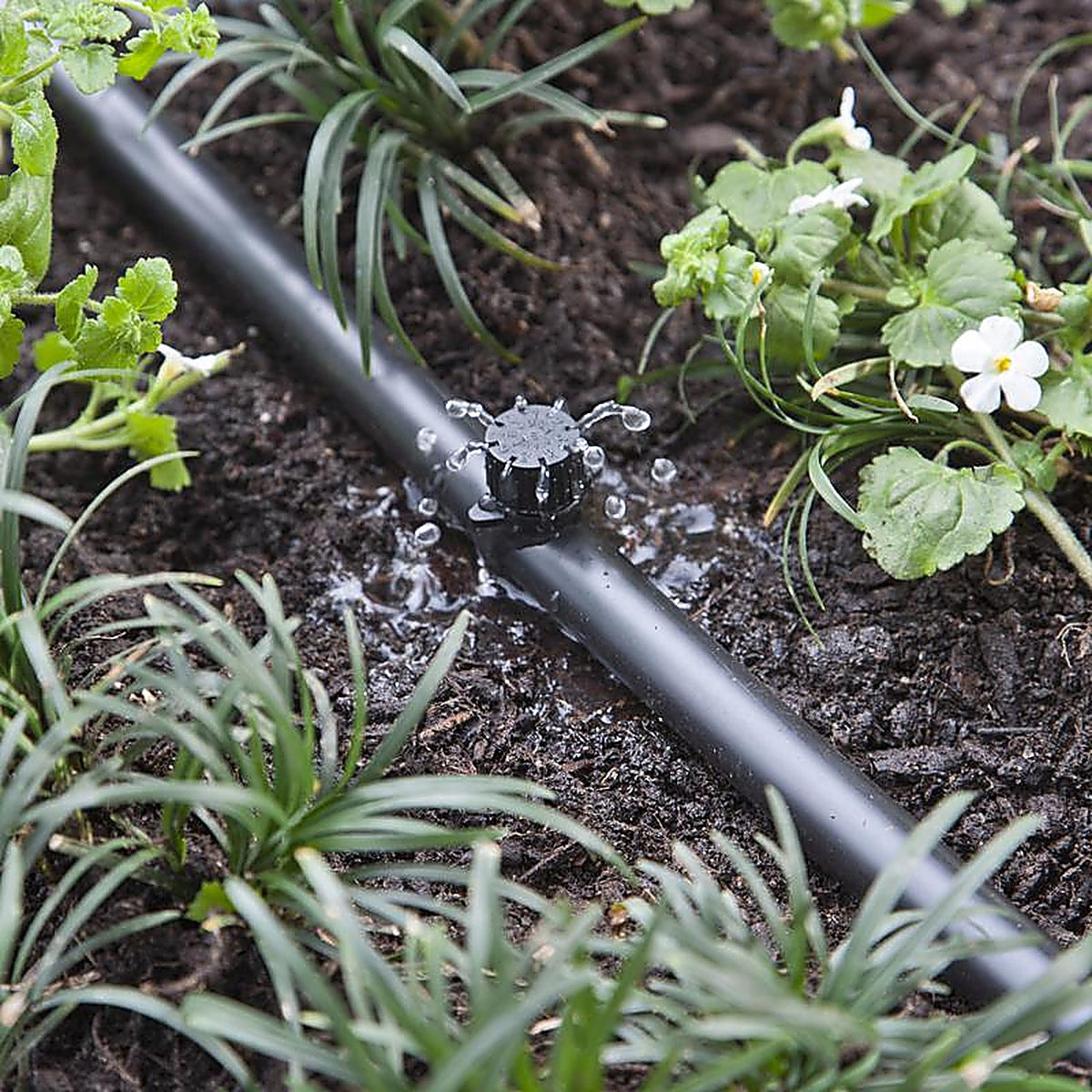 Raindrip 157050B Full-Circle Drip Irrigation Bubbler 13 gph
