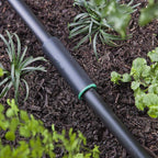 Raindrip R341CT 1/2 in. Drip Irrigation Coupler 1/Pack