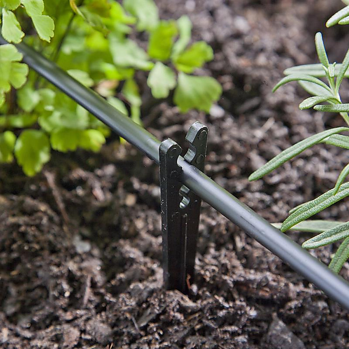 Raindrip 381025B Drip Irrigation Tubing Stake 0.25 in. W x 6 in. L 25/Pack