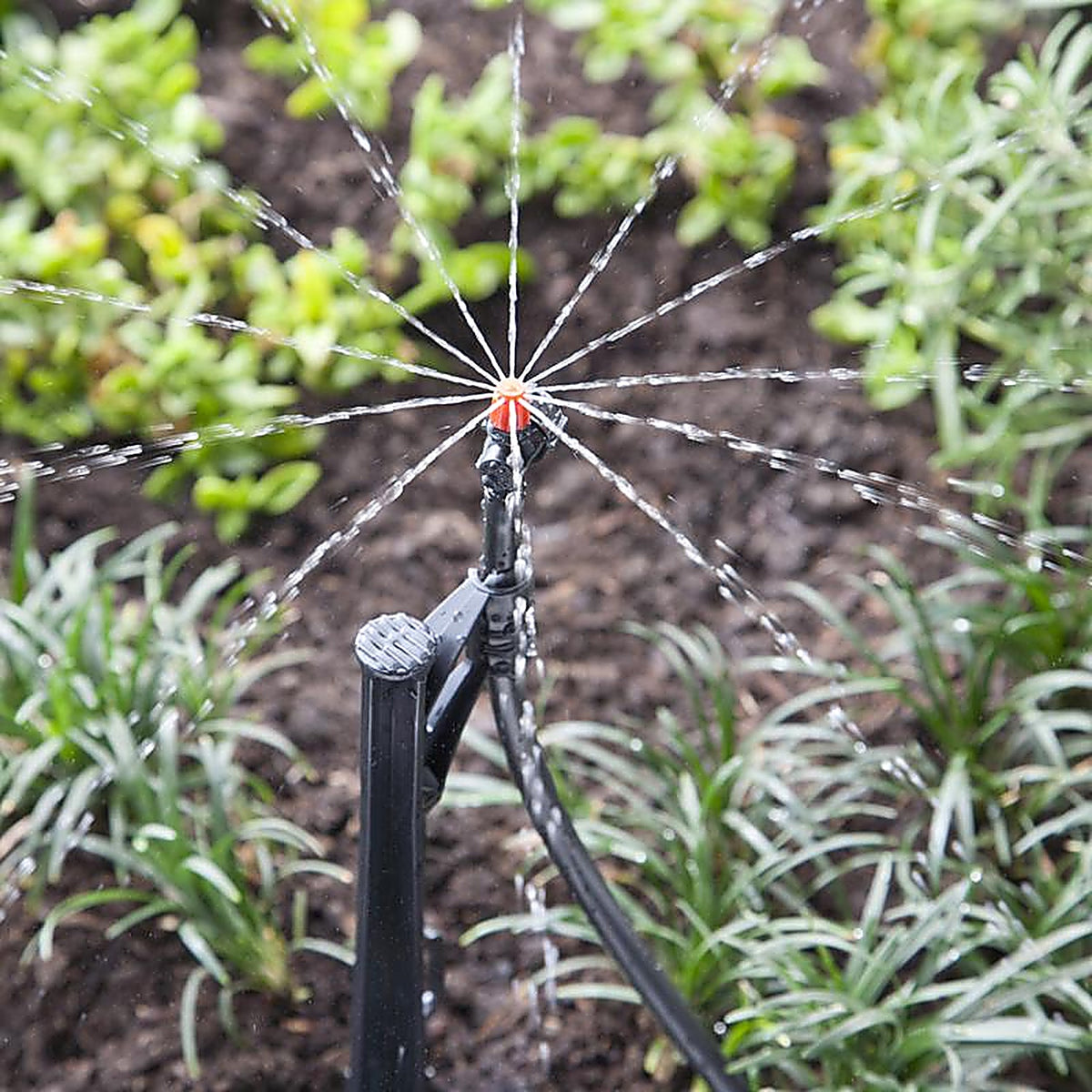 Raindrip A180010B Full-Circle Drip Irrigation Micro Spray 20 gph