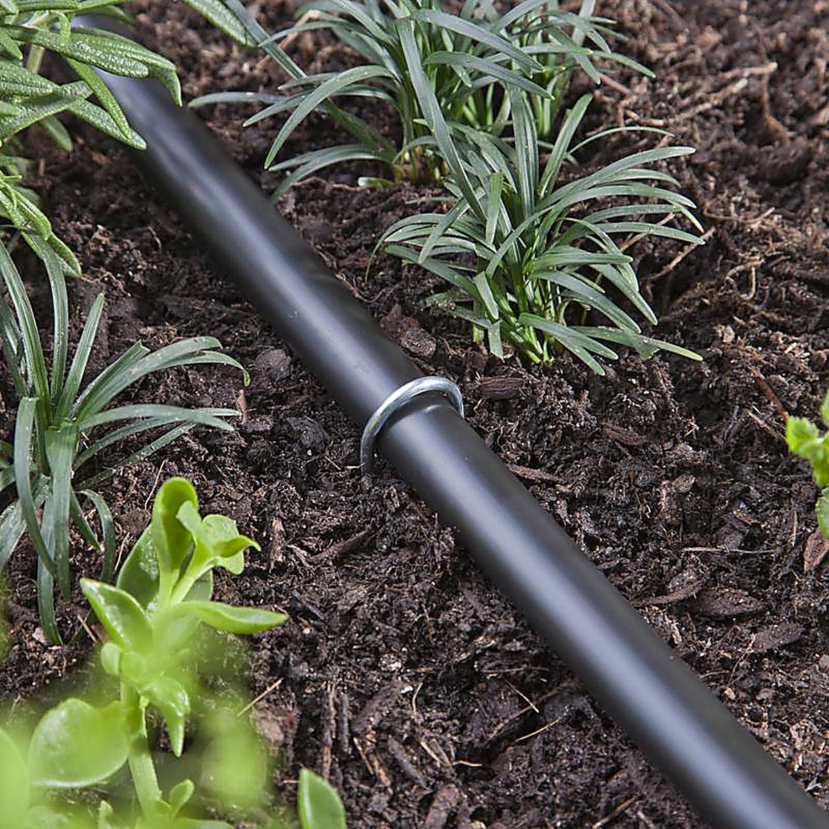Raindrip R385CT Drip Irrigation Watering Stake 12 in. L 12/Pack
