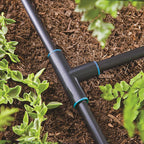 Raindrip 349G00UB Compression .710 in. Drip Irrigation Tee 1/Pack
