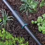 Raindrip 360G00UB Compression .710 in. Drip Irrigation Coupler 1/Pack