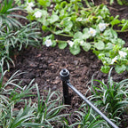 Raindrip 15300UB Full-Circle Drip Irrigation Bubbler 24 gph