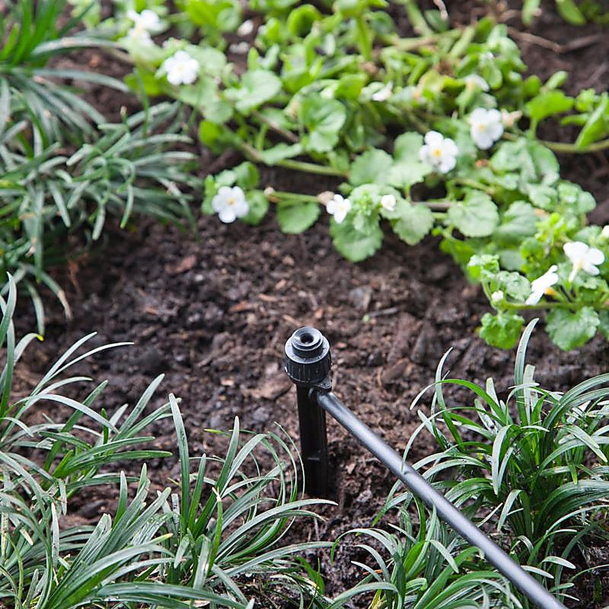 Raindrip 15300UB Full-Circle Drip Irrigation Bubbler 24 gph