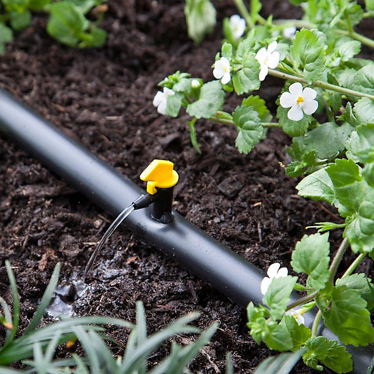 Raindrip 124025B Spot Drip Irrigation Dripper 4 gph
