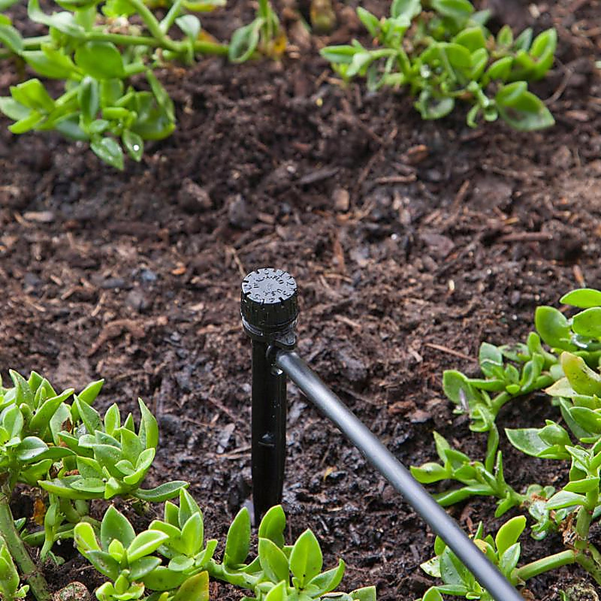 Raindrip 15600UB Full-Circle Drip Irrigation Bubbler 13 gph