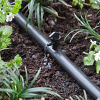 Raindrip 121010B Spot Drip Irrigation Dripper 4 gph