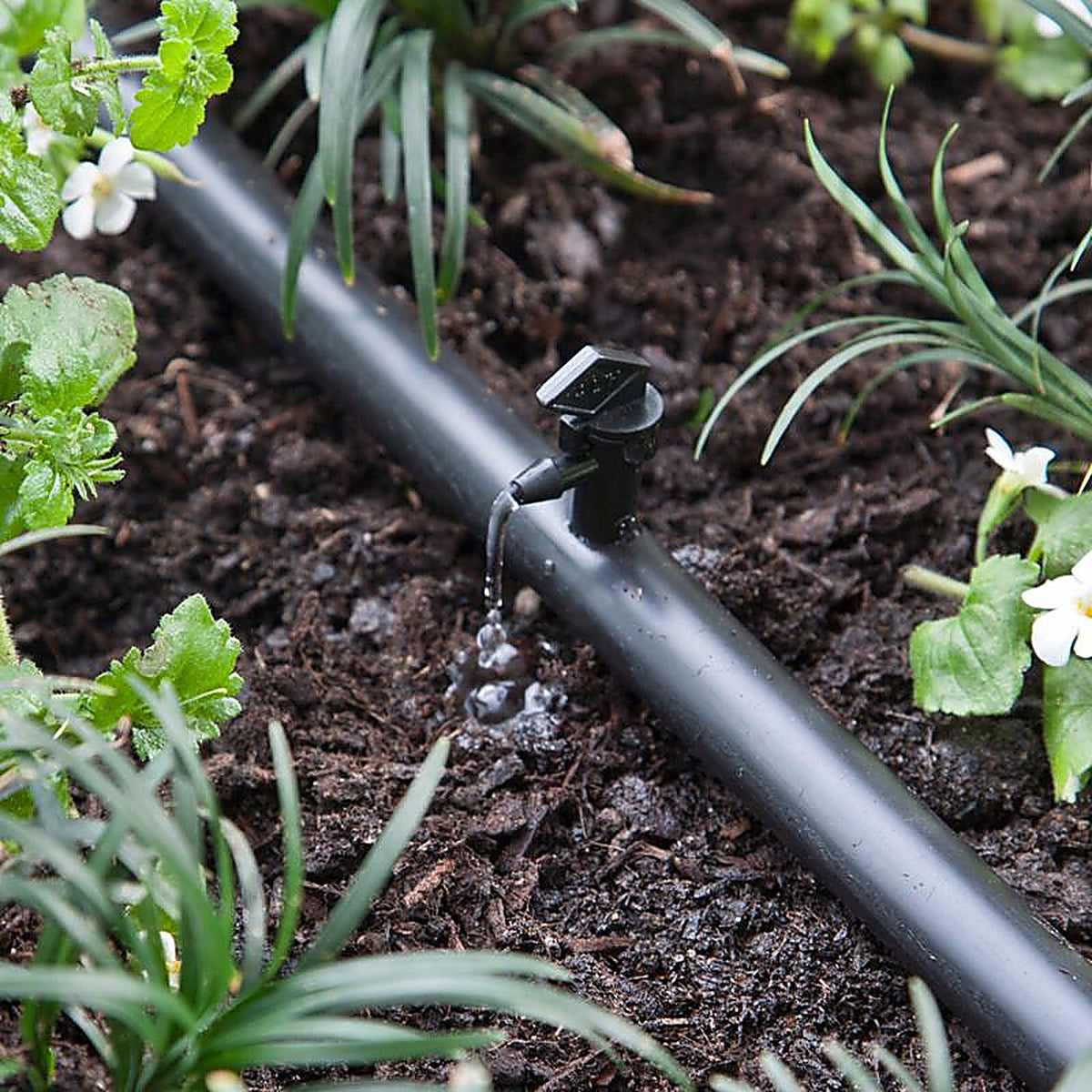 Raindrip 121010B Spot Drip Irrigation Dripper 4 gph