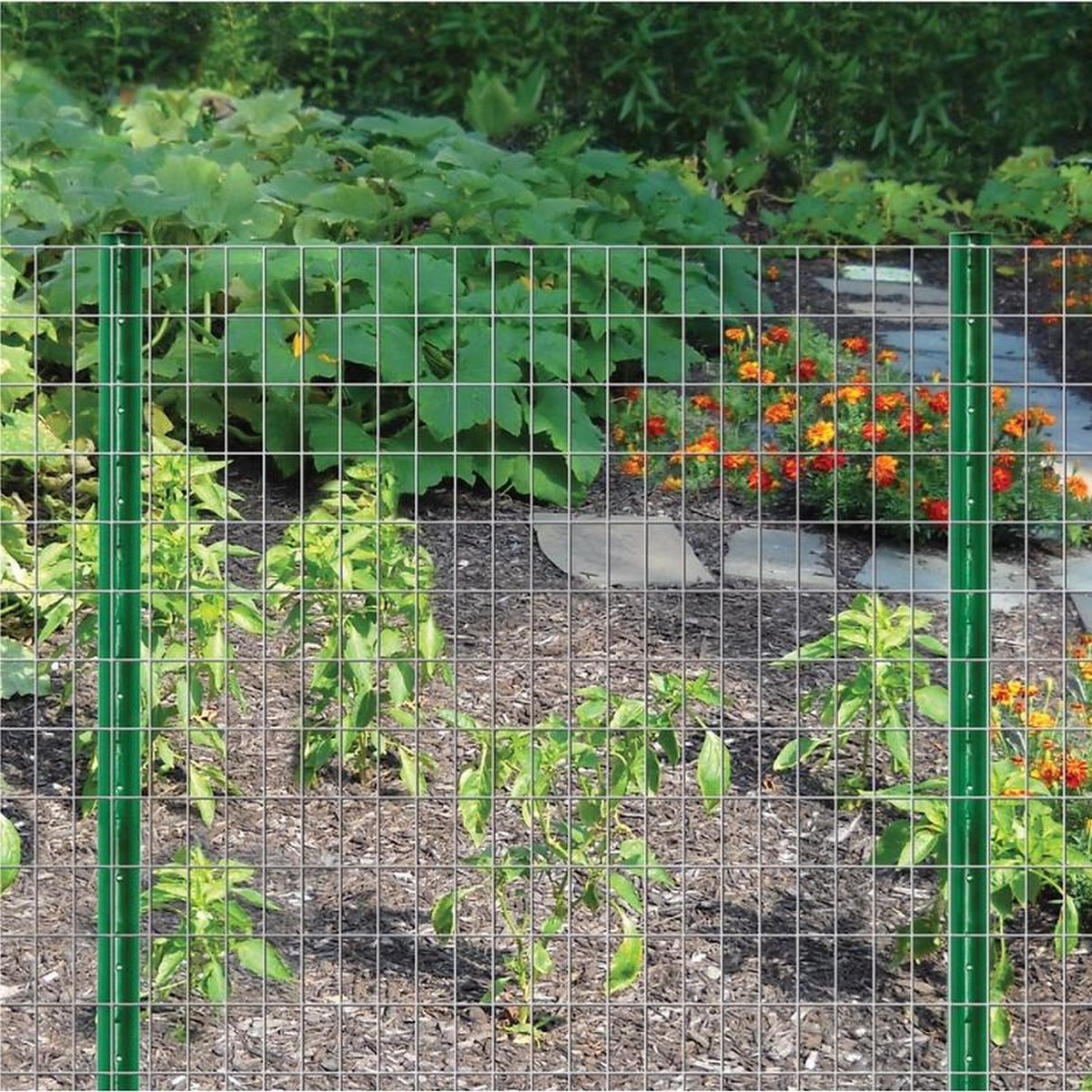 Garden Zone 33650 36 in. H x 50 ft. L Galvanized Steel Garden Fence Silver