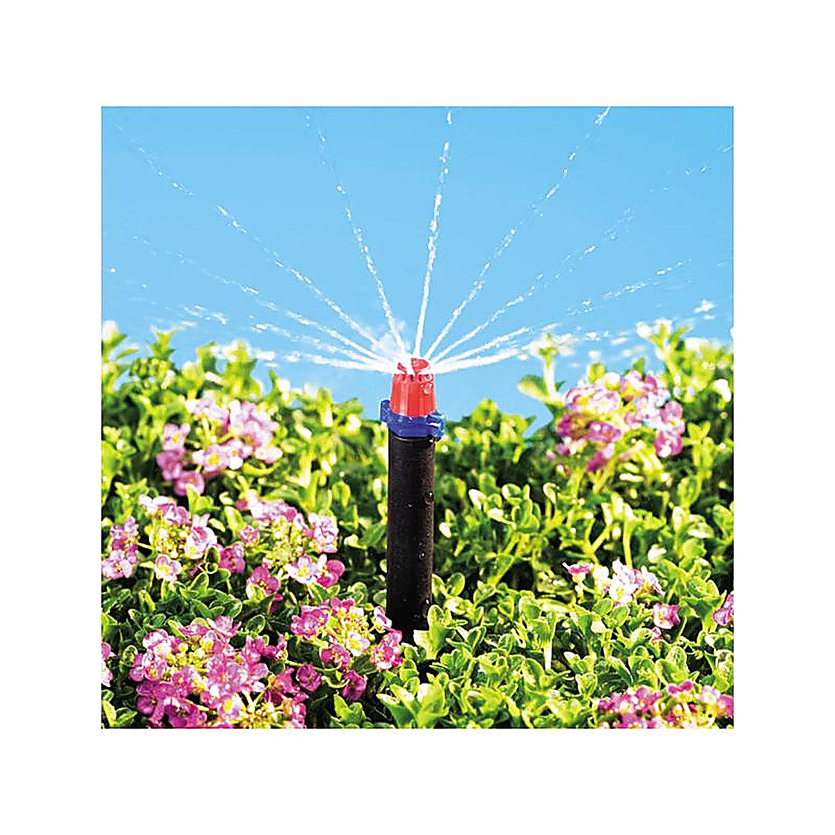 Raindrip 360JET010B Full-Circle Drip Irrigation Micro Spray 12 gph
