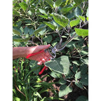 Corona BP 3160 Classic Cut 8 in. Steel Bypass Pruners