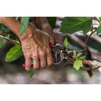 Corona BP 3160 Classic Cut 8 in. Steel Bypass Pruners