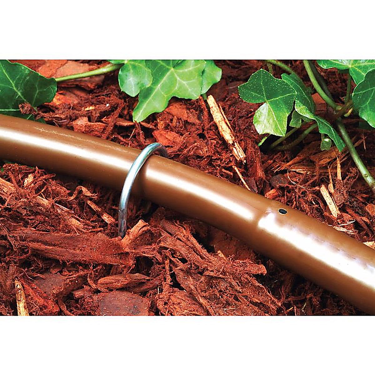 Rain Bird GS50/10PS Wire Hook Stakes 6 in. L 10/Pack