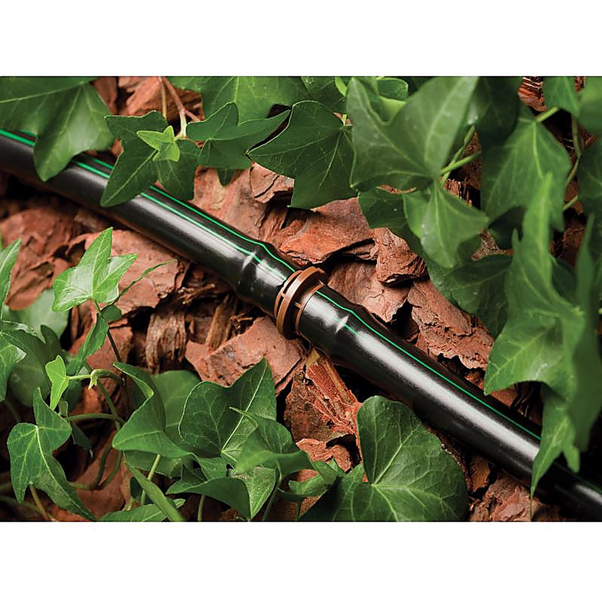 Rain Bird BC50/4PKS Barbed 1/2 in. Drip Irrigation Coupler 4/Pack