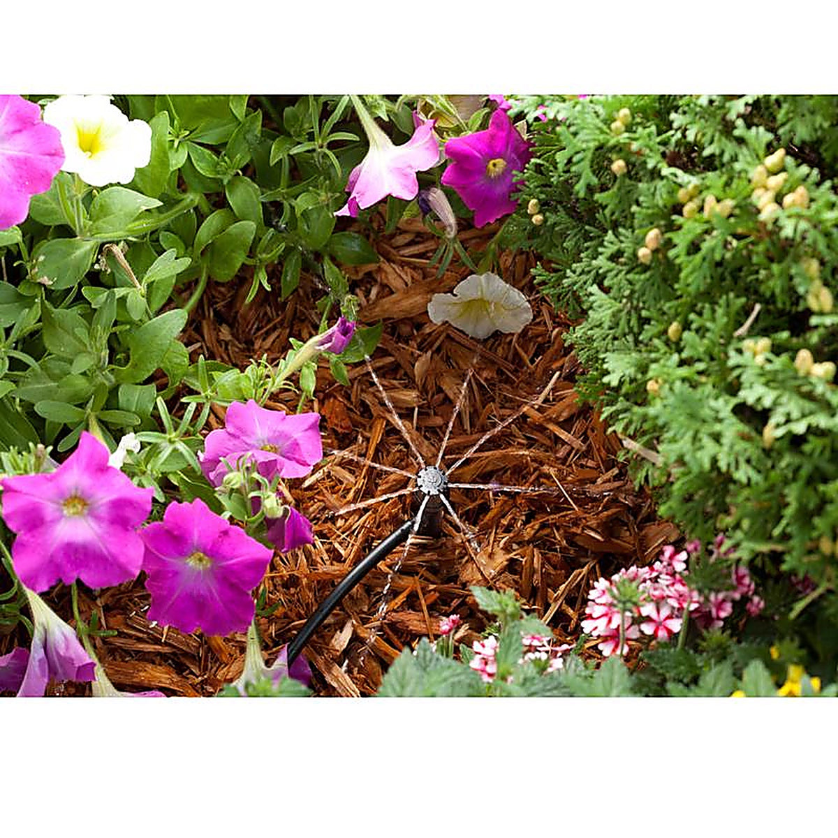 Rain Bird MBH4PKS Half-Circle Drip Irrigation Micro Bubbler 24 gph