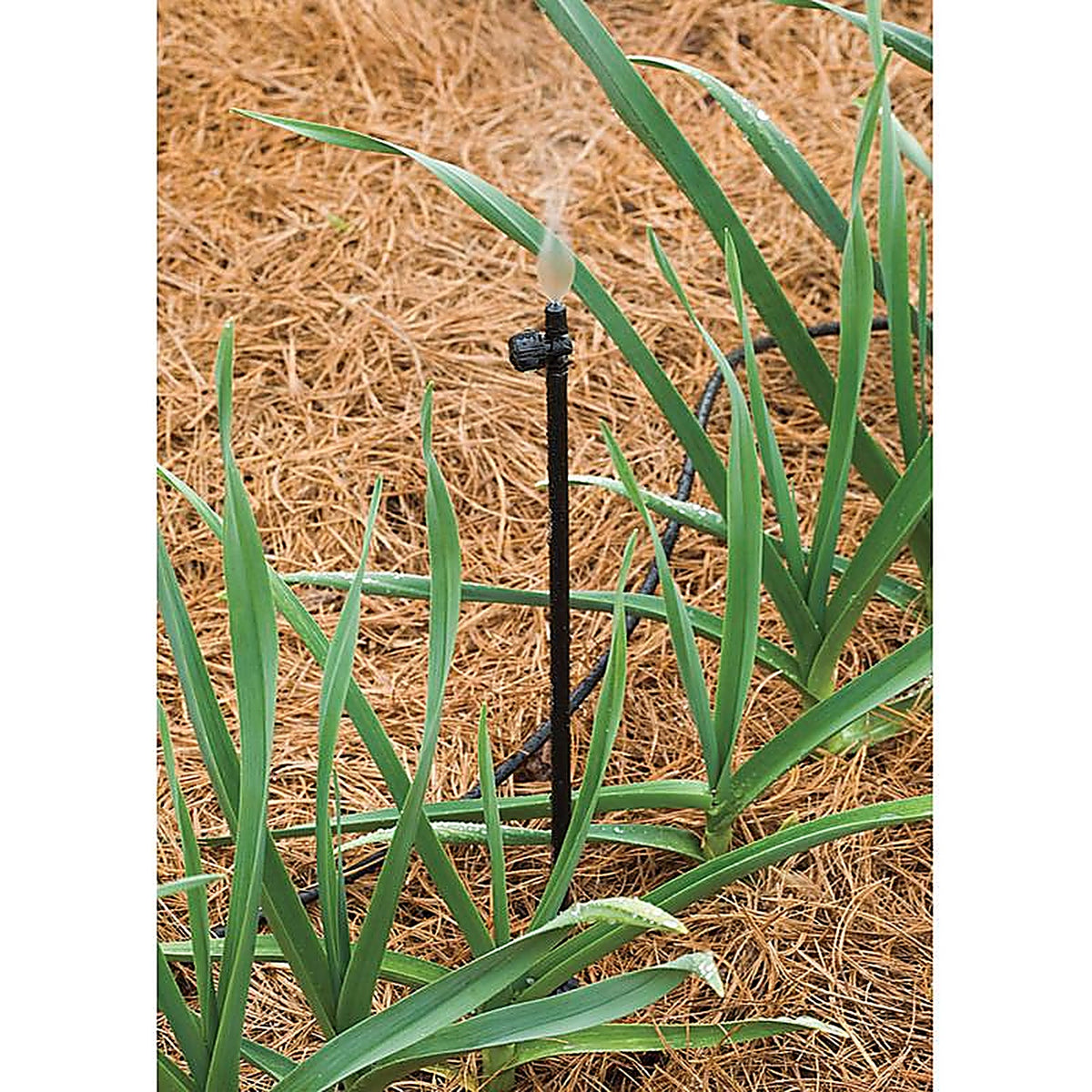 Rain Bird RISER1PKS Drip Irrigation Tubing Stake 12 in. L 1/Pack