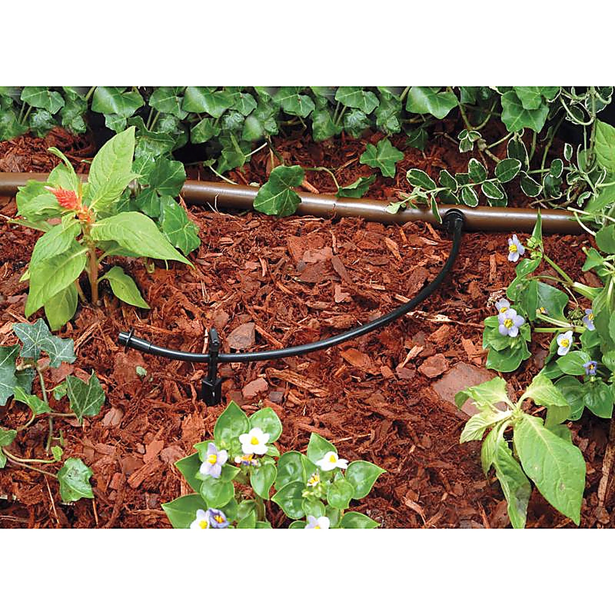 Rain Bird T22-100S Plastic Drip Irrigation Tubing 1/4 in. Dia. x 100 ft. L