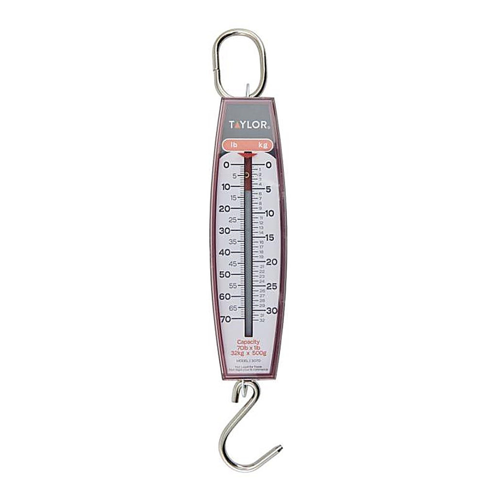 Taylor 30704104 White Analog Hanging Scale 70 lb.