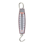Taylor 30704104 White Analog Hanging Scale 70 lb.