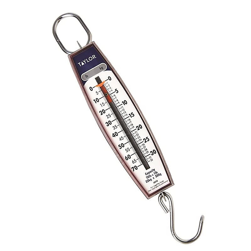 Taylor 30704104 White Analog Hanging Scale 70 lb.
