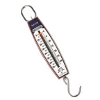 Taylor 30704104 White Analog Hanging Scale 70 lb.