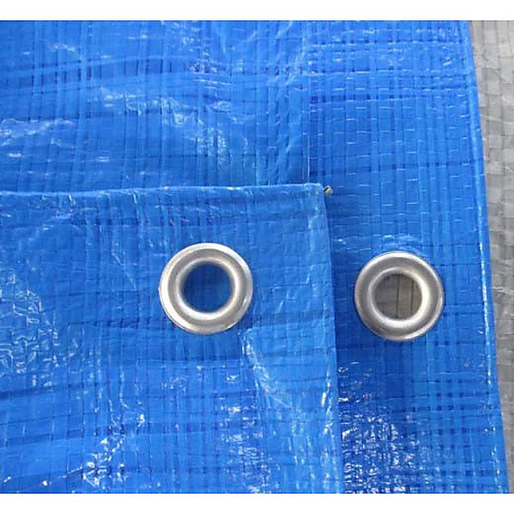 Home Plus P46-88W 4 ft. W x 6 ft. L Light Duty Polyethylene Tarp Blue