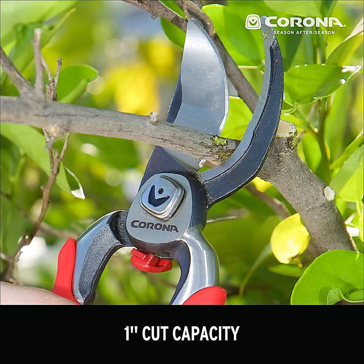Corona BP 7100D Dual Cut Carbon Steel Bypass Pruners