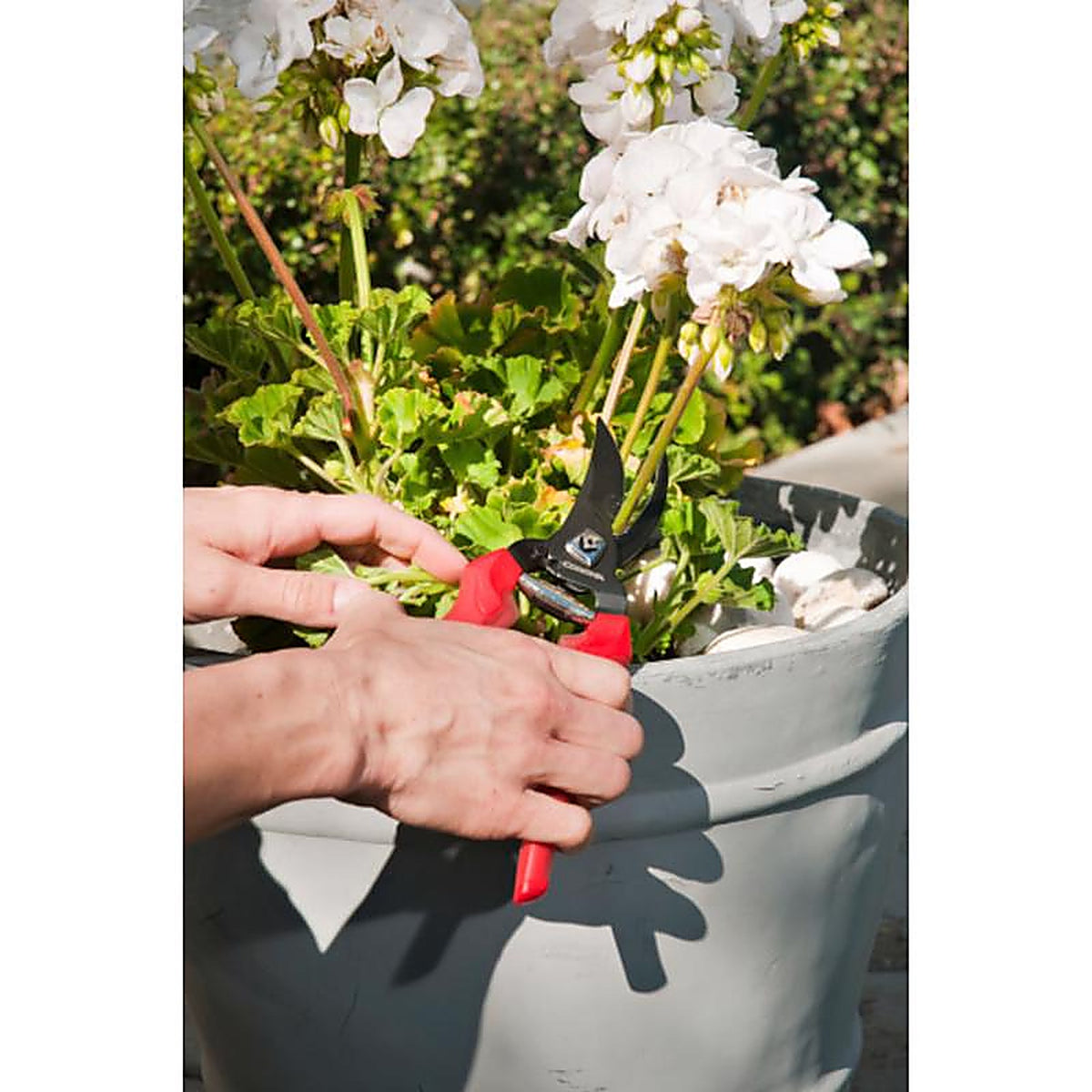 Corona BP 3214D ComfortGEL 4-1/2 in. Stainless Steel Bypass Pruners