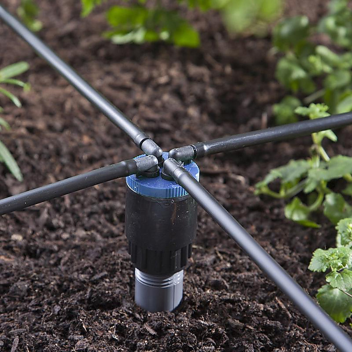Raindrip QB02UB Spot Drip Irrigation Bubbler 2 gph
