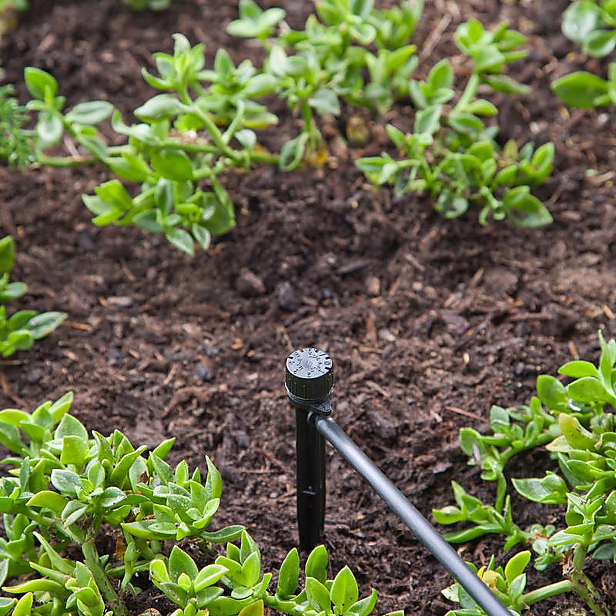 Raindrip A155CPUB Drip Irrigation Self-Piercing Clamp 1/Pack