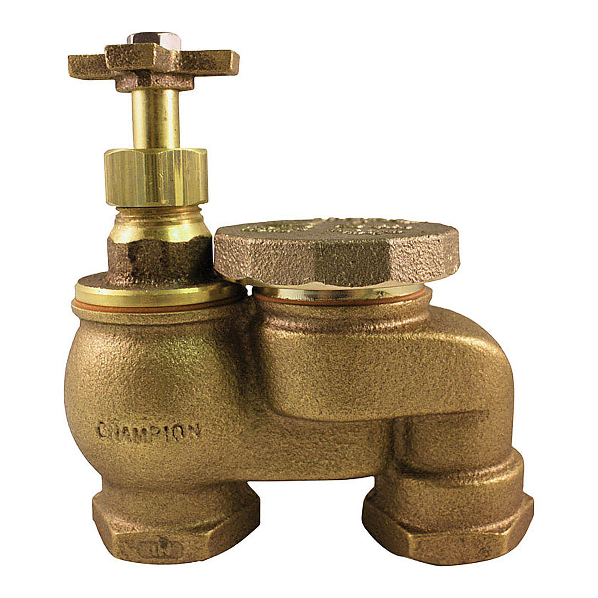 Champion 466P-075Y Anti-Siphon Valve 3/4 in. 150 psi