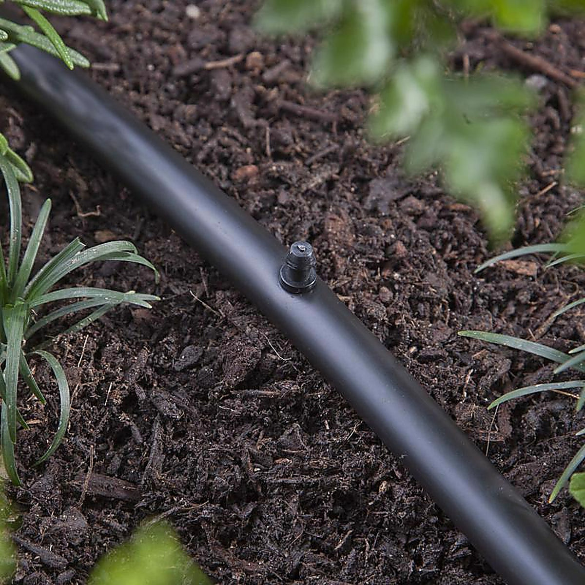 Raindrip 646010B Drip Irrigation Hole Plug 10/Pack