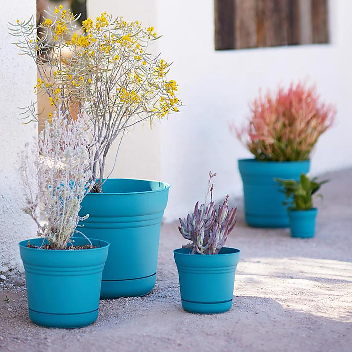 Bloem SP0526 4.5 in. H x 5 in. Dia. Resin Planter Teal
