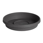 Bloem STT06908 Terra 1 in. H x 5.5 in. Dia. Plastic Tray Charcoal