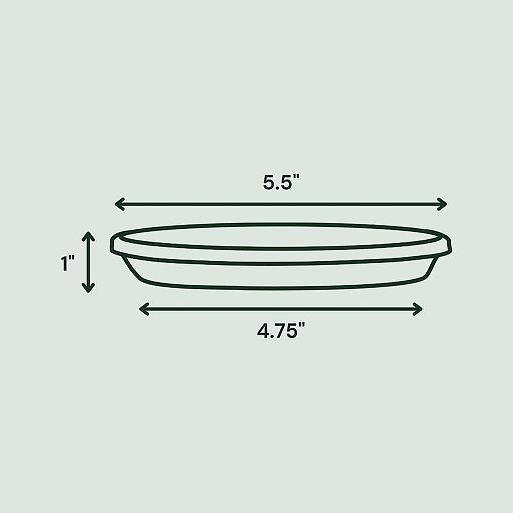 Bloem STT06908 Terra 1 in. H x 5.5 in. Dia. Plastic Tray Charcoal