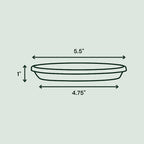 Bloem STT06908 Terra 1 in. H x 5.5 in. Dia. Plastic Tray Charcoal
