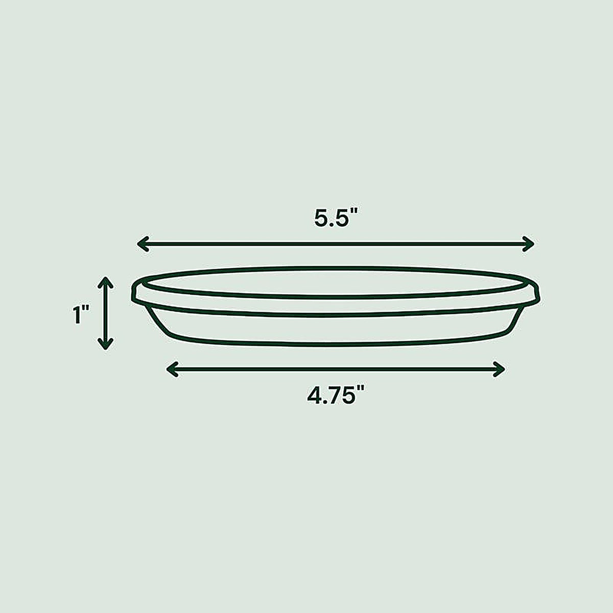 Bloem STT06908 Terra 1 in. H x 5.5 in. Dia. Plastic Tray Charcoal